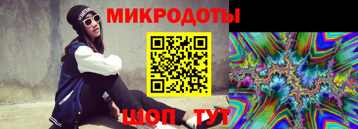 Псилоцибиновые грибы Cubensis Дубна
